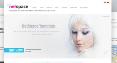 AIT – Netspace WordPress Theme 1.27 GPL Theme