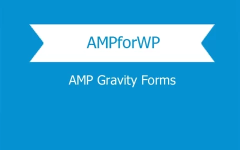 AMP Gravity Forms 2.9.36 GPL Plugins