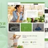 Aarogya | Nutrition Dietitian WordPress Theme 2.5 GPL Theme