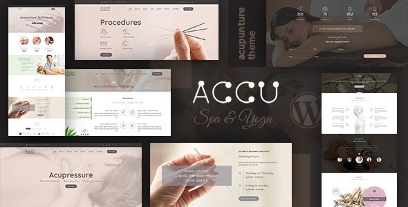 Accu Healthcare, Massage WordPress Theme 2.4 GPL Theme