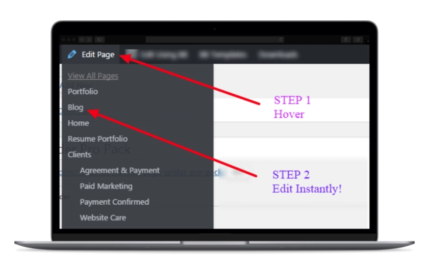Admin Page Spider Pro Pack 4.50 GPL Plugins