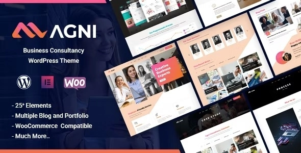 Agni Business Consulting 1.1.0 GPL Theme