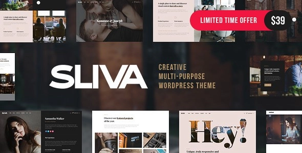 Sliva Responsive Multi-Purpose Theme 1.0 GPL Theme