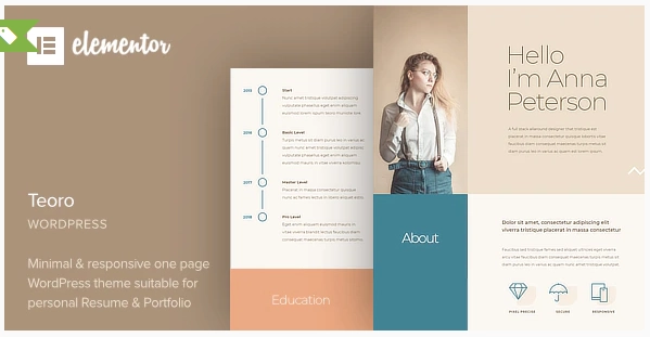 Teoro CV Resume WordPress Theme 1.0 GPL Theme