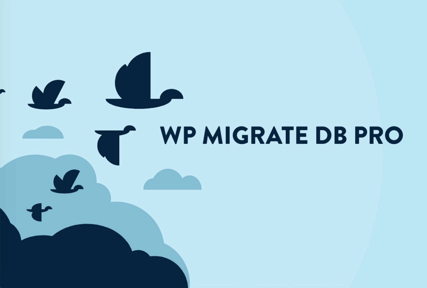 WP Migrate Media Files Addon 2.1.0 GPL Plugins