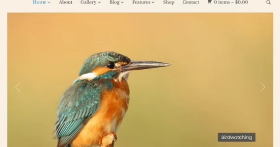 WPZOOM Eclipse 1.0.10 GPL Theme