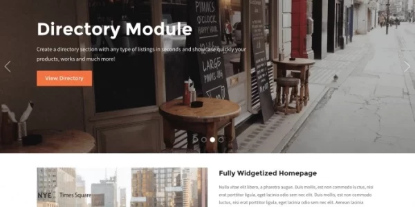 WPZOOM – Diamond 1.1.15 GPL Theme
