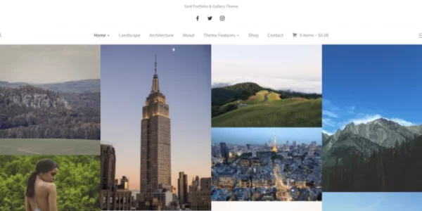 WPZOOM – Tempo 1.0.11 GPL Theme