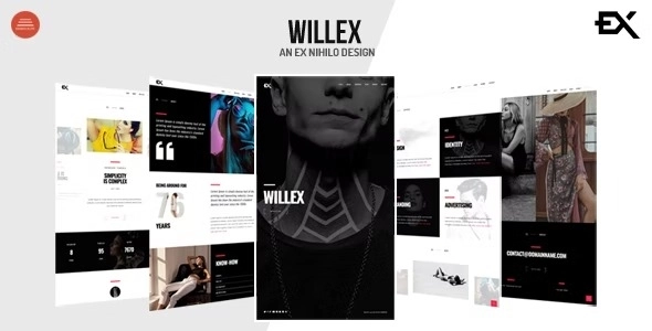 Willex Photography Portfolio WordPress Theme 1.0 GPL Theme