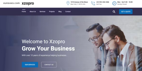 Xzopro – Finance And Business WordPress Theme 1.1.5 GPL Theme