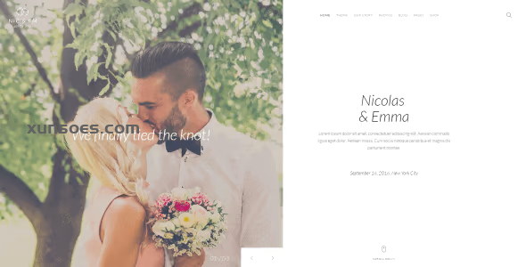 YOOTHEME NIC EM WORDPRESS THEME 1.0.5 GPL Theme