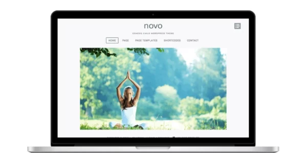 ZigZagPress Novo WordPress Theme 1.2 GPL Theme