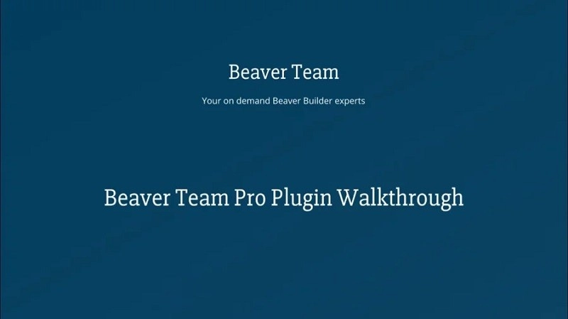 Beaver Team Pro 1.2.18 GPL Plugins