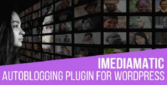 iMediamatic Social Media Importer/Exporter Plugin for WordPress 1.9.0 GPL Plugins